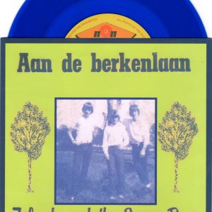 berkenlaan blauw