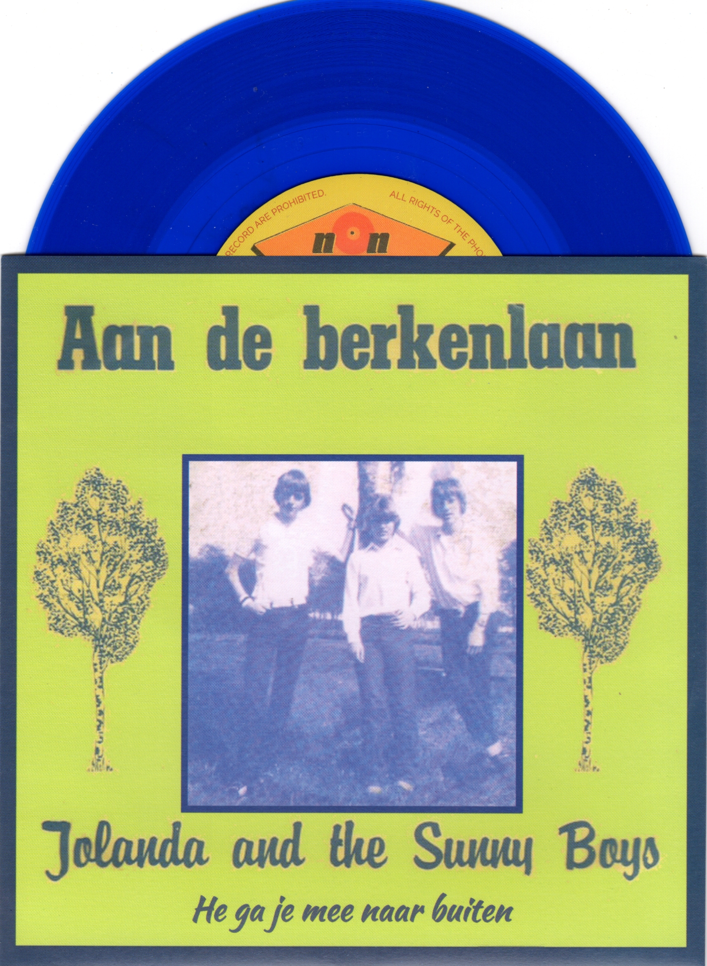 berkenlaan blauw